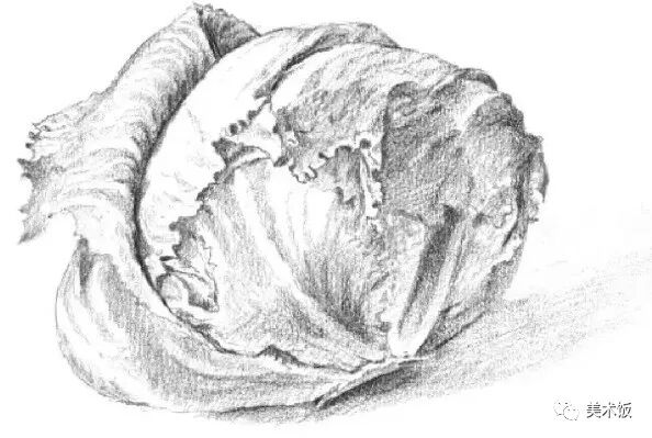 零基础就能学会的单个静物素描绘画教程——绘画技巧