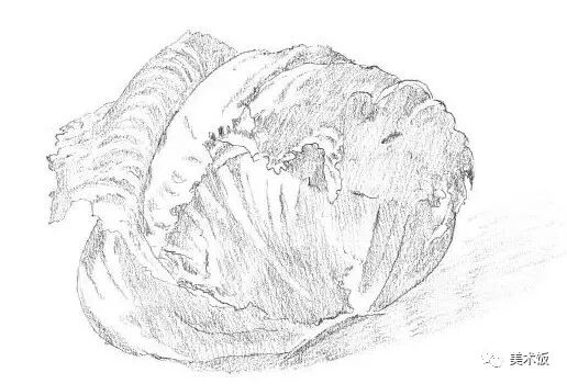 零基础就能学会的单个静物素描绘画教程——绘画技巧