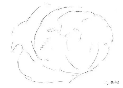 零基础就能学会的单个静物素描绘画教程——绘画技巧