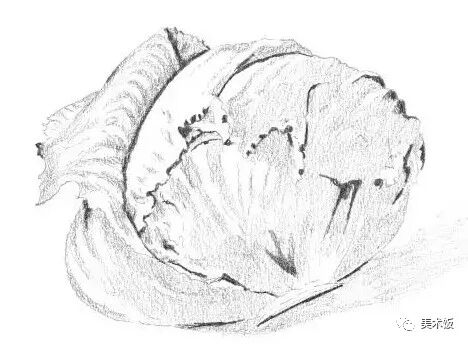 零基础就能学会的单个静物素描绘画教程——绘画技巧
