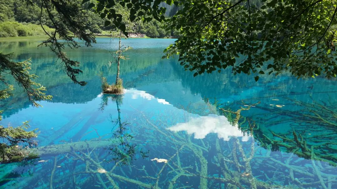 640?wx_fmt=jpeg&tp=webp&wxfrom=5&wx_lazy=1&wx_co=1