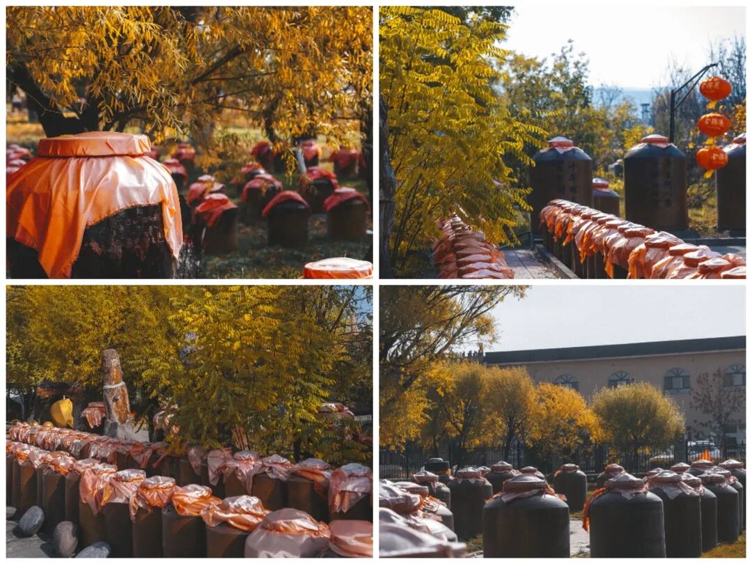 秋冬季西域酒文化博物馆对全国游客免门票啦! - 伊犁酒业