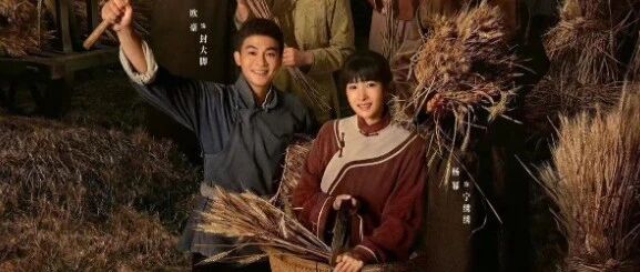 “秦海璐一句'她上道了',到底替杨幂挡了多少刀?”