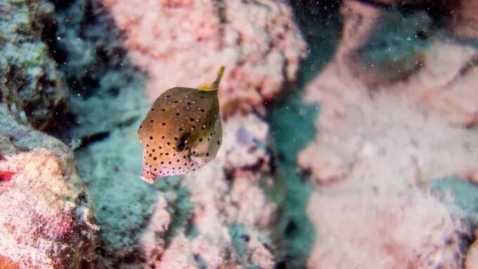 邦邦岛 | 仿若远离尘嚣的遗世天堂，若你也喜静，来就对了！