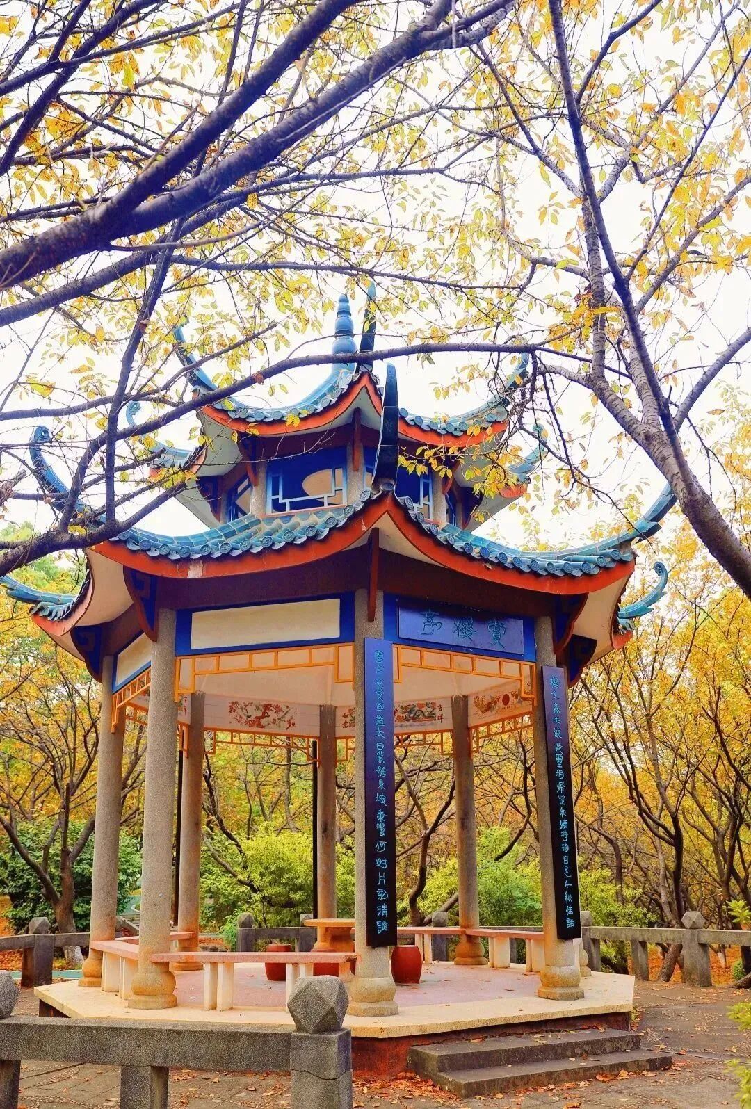 樱开十里 湖南科技大学:湖南最佳欣赏樱花的大学校园