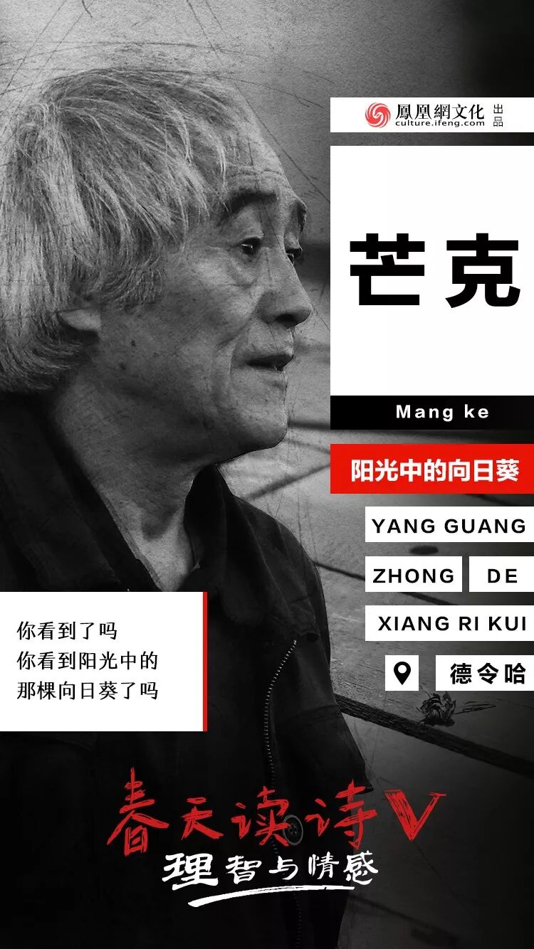 5》:芒克铿锵之作《阳光中的向日葵》你看到了吗你看到阳光中的那棵