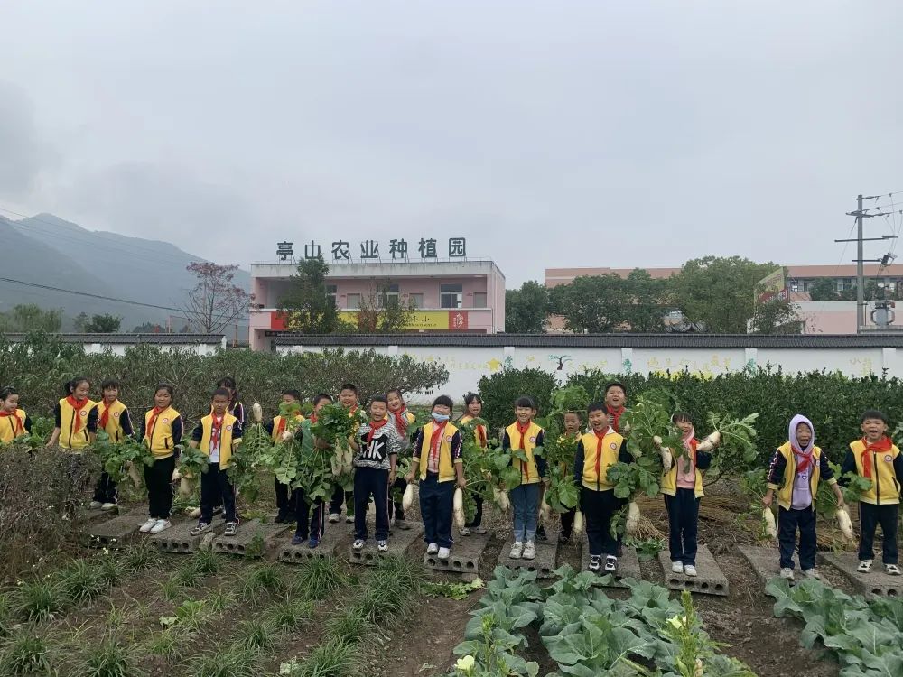 巧手慧心体味雕刻之美亭旁小学萝卜节