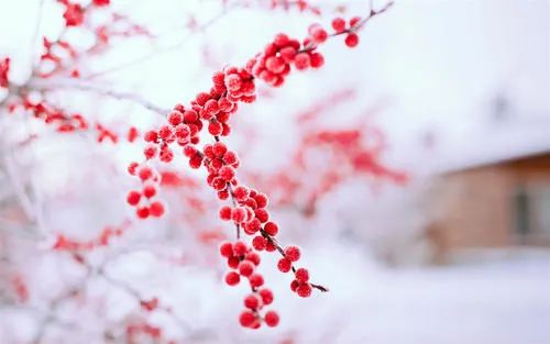 張小嫻20經典愛情語錄，平凡而深刻，總有一句能戳中你的心 情感 第3張