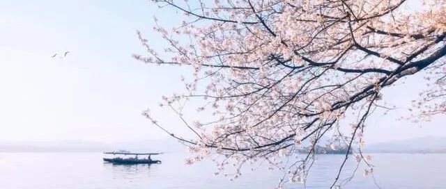 这几句诗词，像极了爱情的样子，感人肺腑