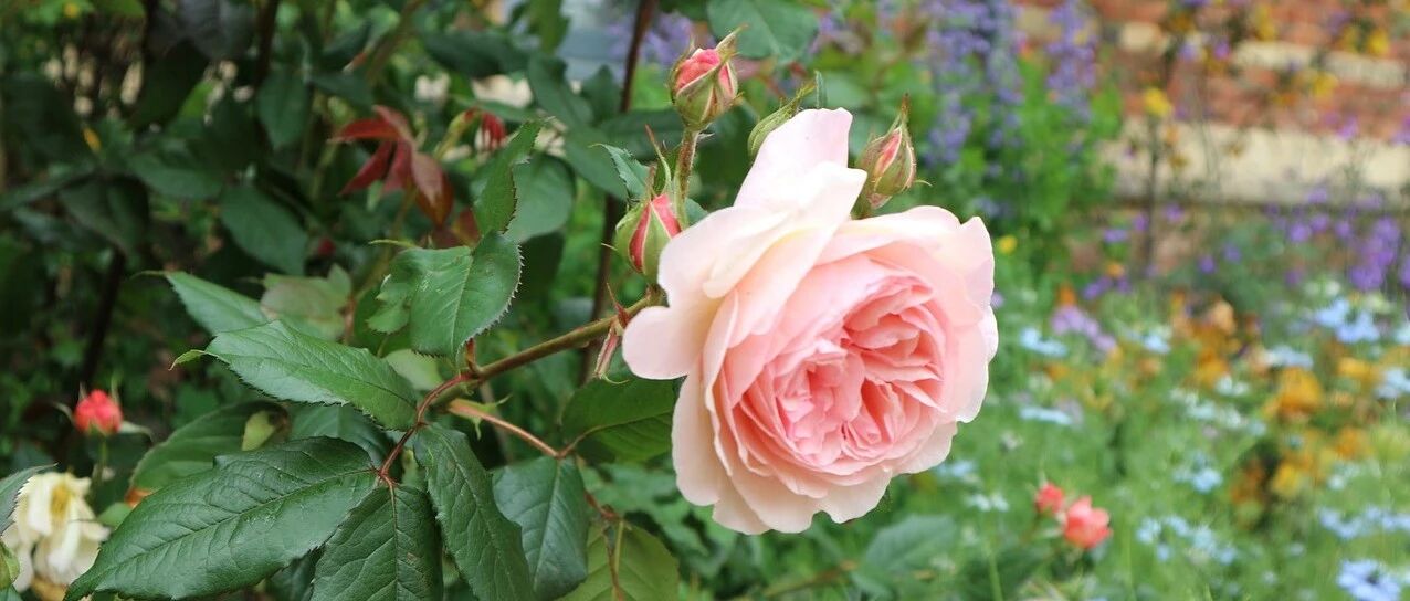 有幸与你相爱，此生为你而来