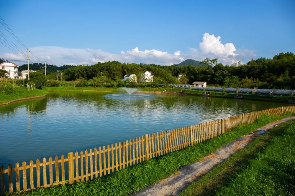 户外踏青来屯溪区解锁浪漫春日游