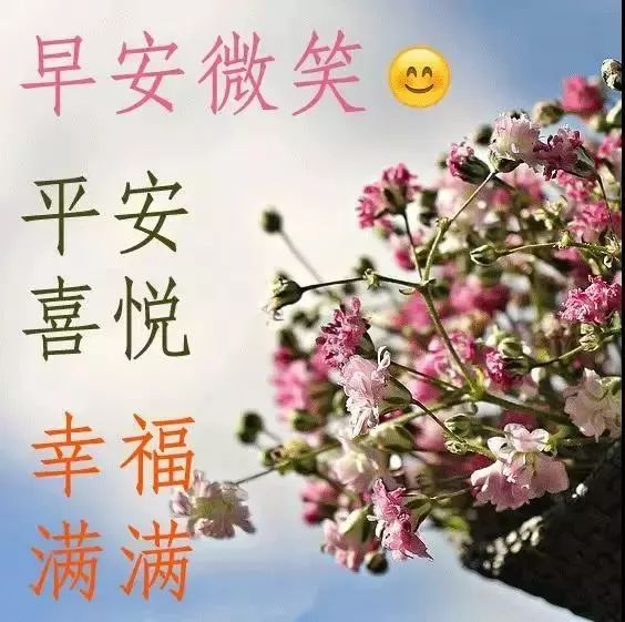 周二早上好问候语录表情清晨早安问候祝福短信 微商早安晚安励志正能量语录 微信公众号文章阅读 Wemp