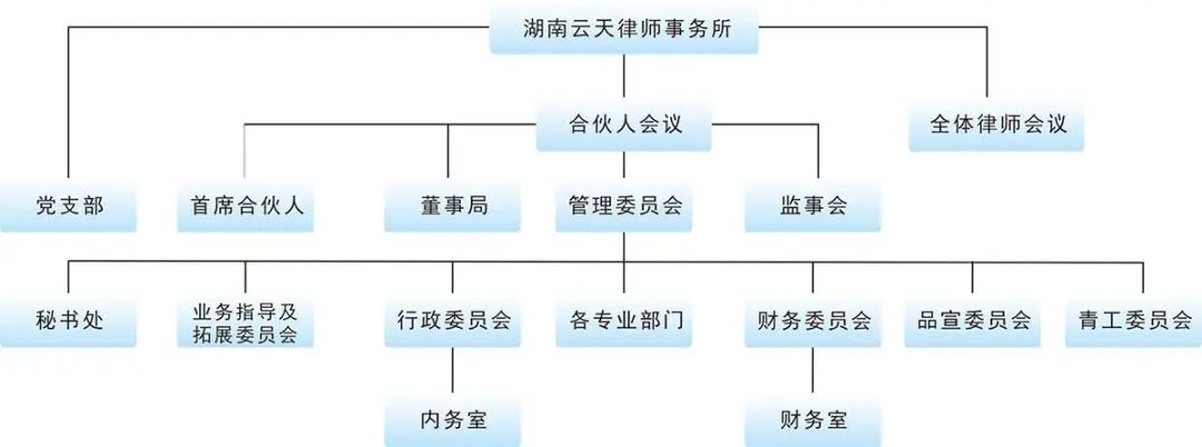 云天律师事务所组织架构