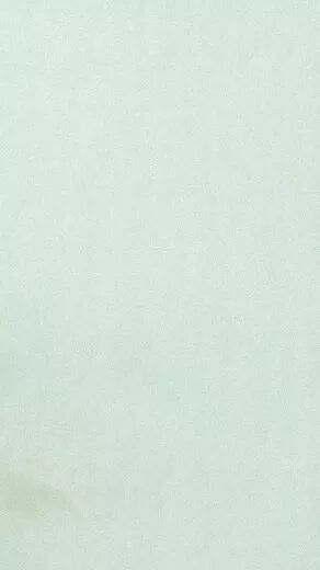 【广西楚学研学】发现森林·发现弄岗——共享自然研学营 研学活动 3