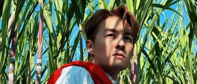 吴克群为什么火了