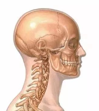 外展枕怎么使用干货 ｜ 针刀治疗要点规程定点定位_https://www.jmylbn.com_新闻资讯_第5张