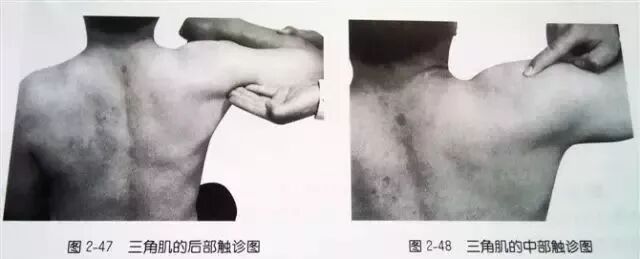 外展枕怎么使用干货 ｜ 针刀治疗要点规程定点定位_https://www.jmylbn.com_新闻资讯_第20张