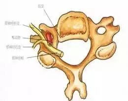 外展枕怎么使用干货 ｜ 针刀治疗要点规程定点定位_https://www.jmylbn.com_新闻资讯_第9张