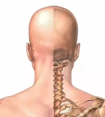 外展枕怎么使用干货 ｜ 针刀治疗要点规程定点定位_https://www.jmylbn.com_新闻资讯_第6张