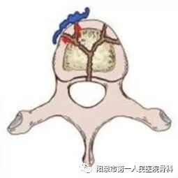 椎体成型需要哪些器材椎体成形术概述_https://www.jmylbn.com_新闻资讯_第35张