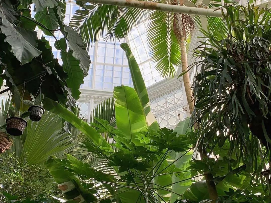 2019旧金山湾区博物馆/美术馆/植物园免费日一览