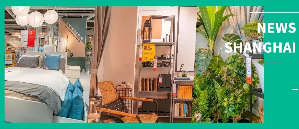 周末去了别人的家，竟然不想走？