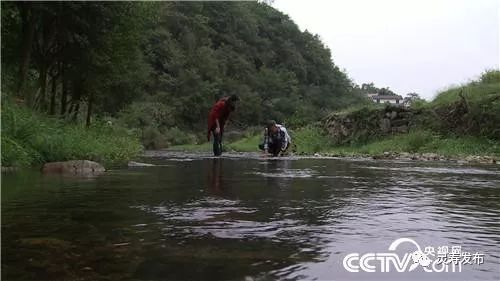 致富鱼游出产业振兴路_致富经鱼_致富鱼卢鱼