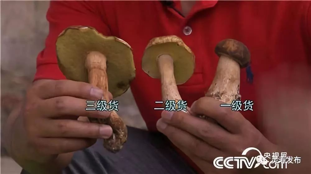 致富餐饮创业项目_致富餐饮加盟店_餐饮致富经