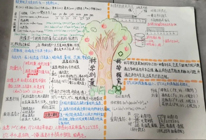 科学小实践，探索大世界——记兴华中学七年级科学实践作业