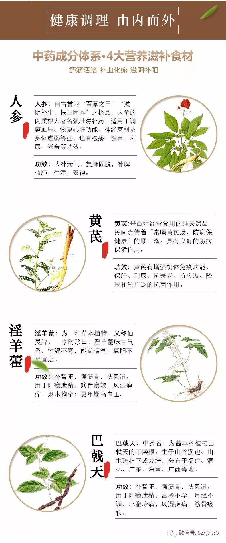 延禧攻略中，原來乾隆才是笑到最後的贏家～ 娛樂 第9張