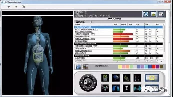 人体功能扫描仪