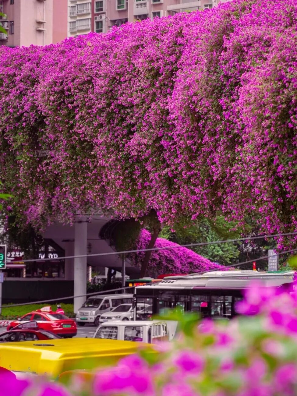 �ͻ������ա���ҹ��...ԭ������ǹ������ŵ���ȷ�򿪷�ʽ��