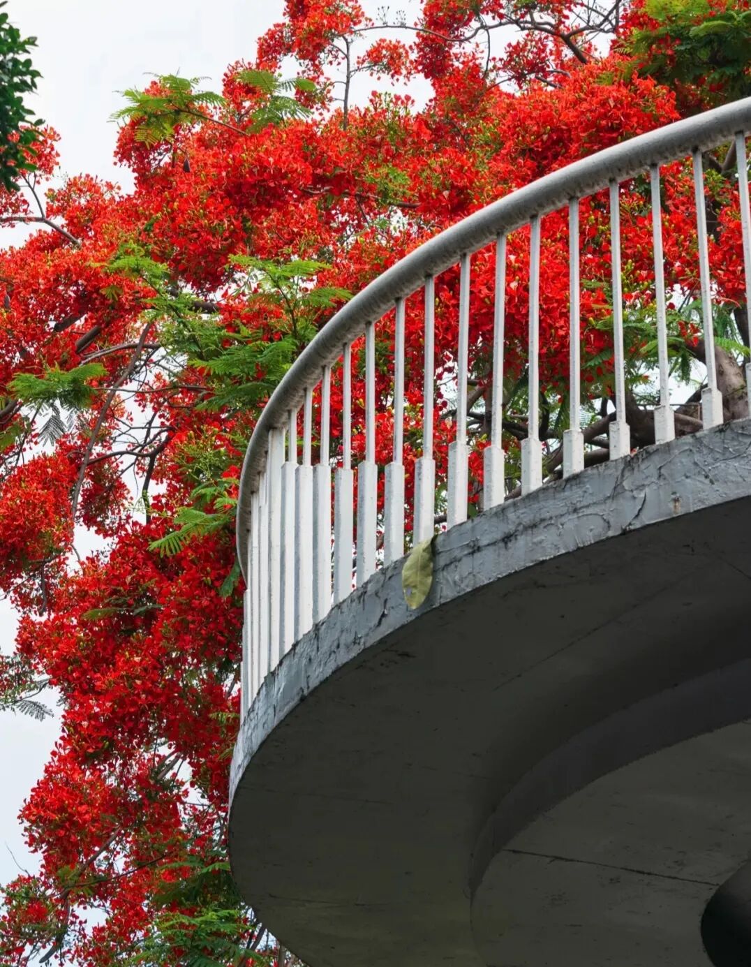 �ͻ������ա���ҹ��...ԭ������ǹ������ŵ���ȷ�򿪷�ʽ��