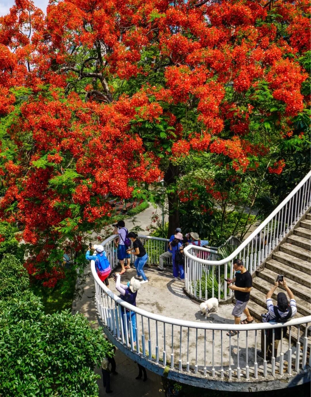 �ͻ������ա���ҹ��...ԭ������ǹ������ŵ���ȷ�򿪷�ʽ��