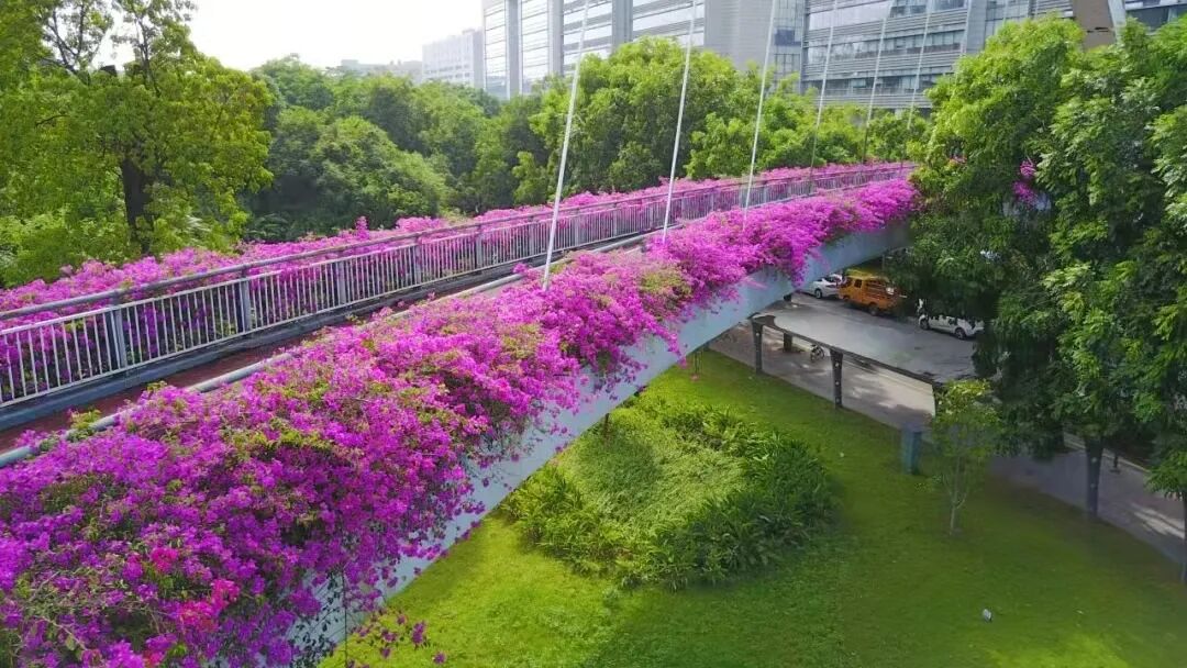 �ͻ������ա���ҹ��...ԭ������ǹ������ŵ���ȷ�򿪷�ʽ��