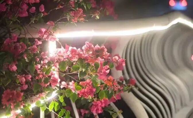 �ͻ������ա���ҹ��...ԭ������ǹ������ŵ���ȷ�򿪷�ʽ��