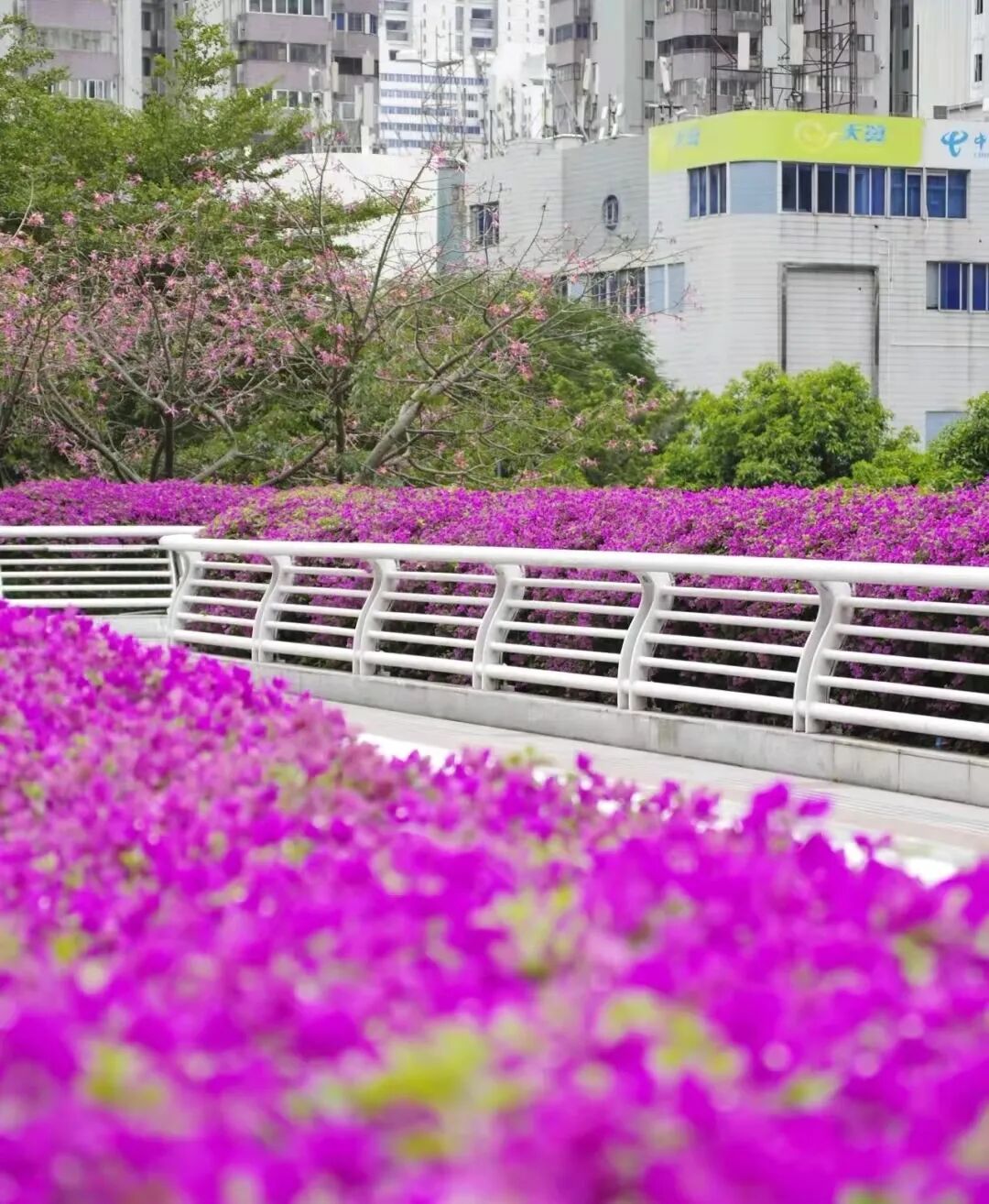 �ͻ������ա���ҹ��...ԭ������ǹ������ŵ���ȷ�򿪷�ʽ��