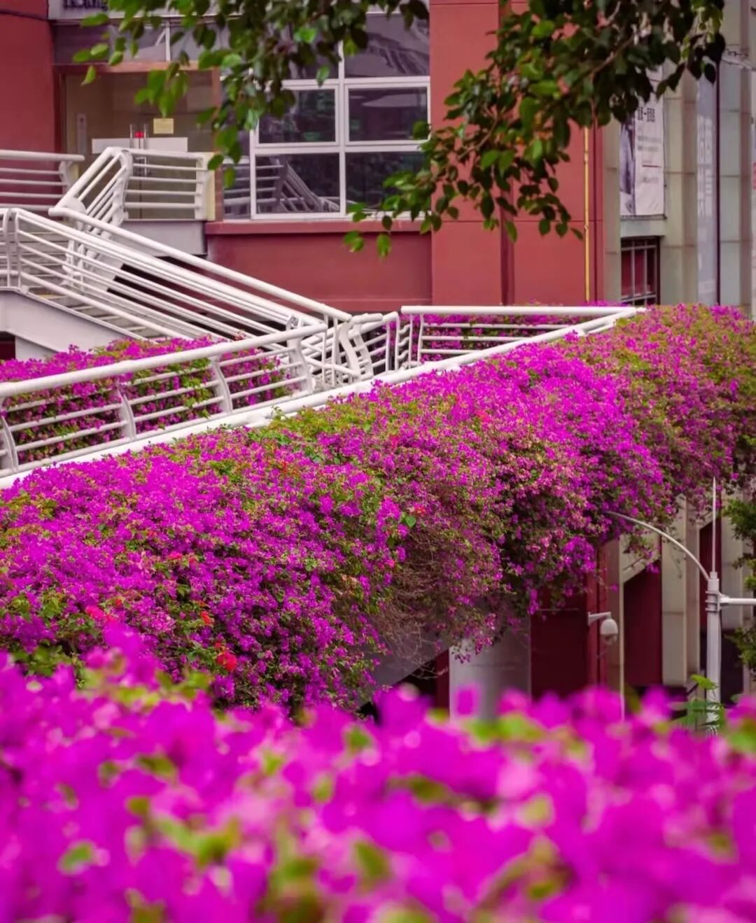 �ͻ������ա���ҹ��...ԭ������ǹ������ŵ���ȷ�򿪷�ʽ��