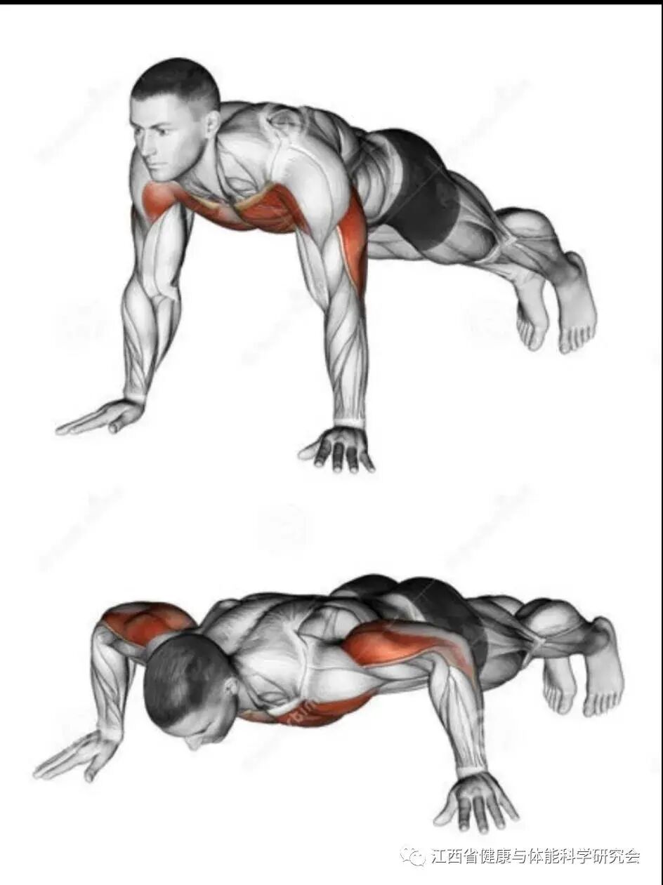 自检康是什么“我运动  我健康”∣健康自检_https://www.jmylbn.com_新闻资讯_第6张