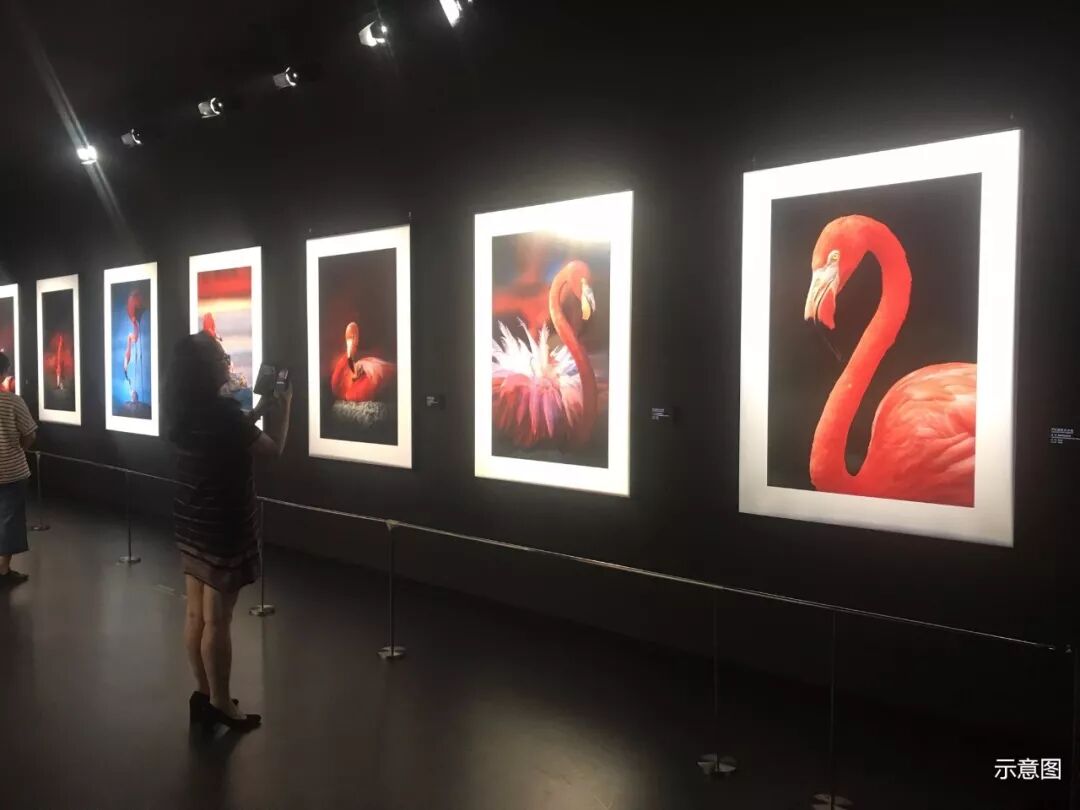 �޺���Ӱ������ |һ��������ȥ���е�����չ���