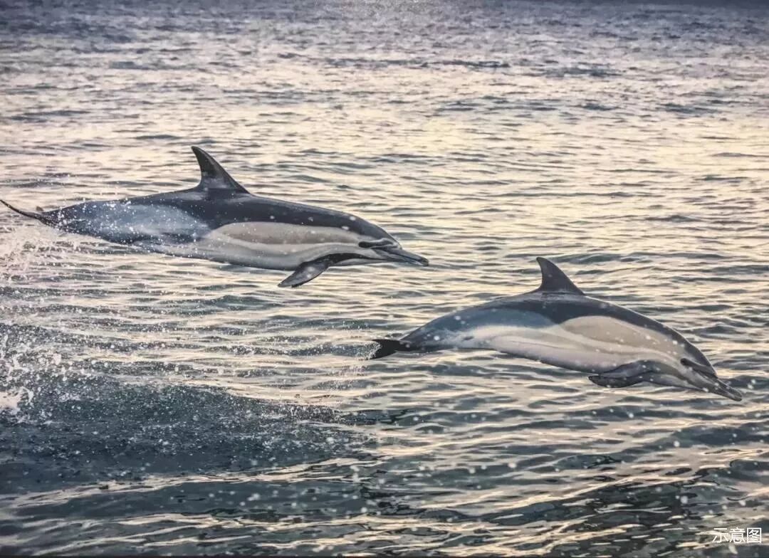 �޺���Ӱ������ |һ��������ȥ���е�����չ���