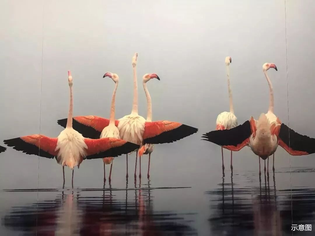 �޺���Ӱ������ |һ��������ȥ���е�����չ���