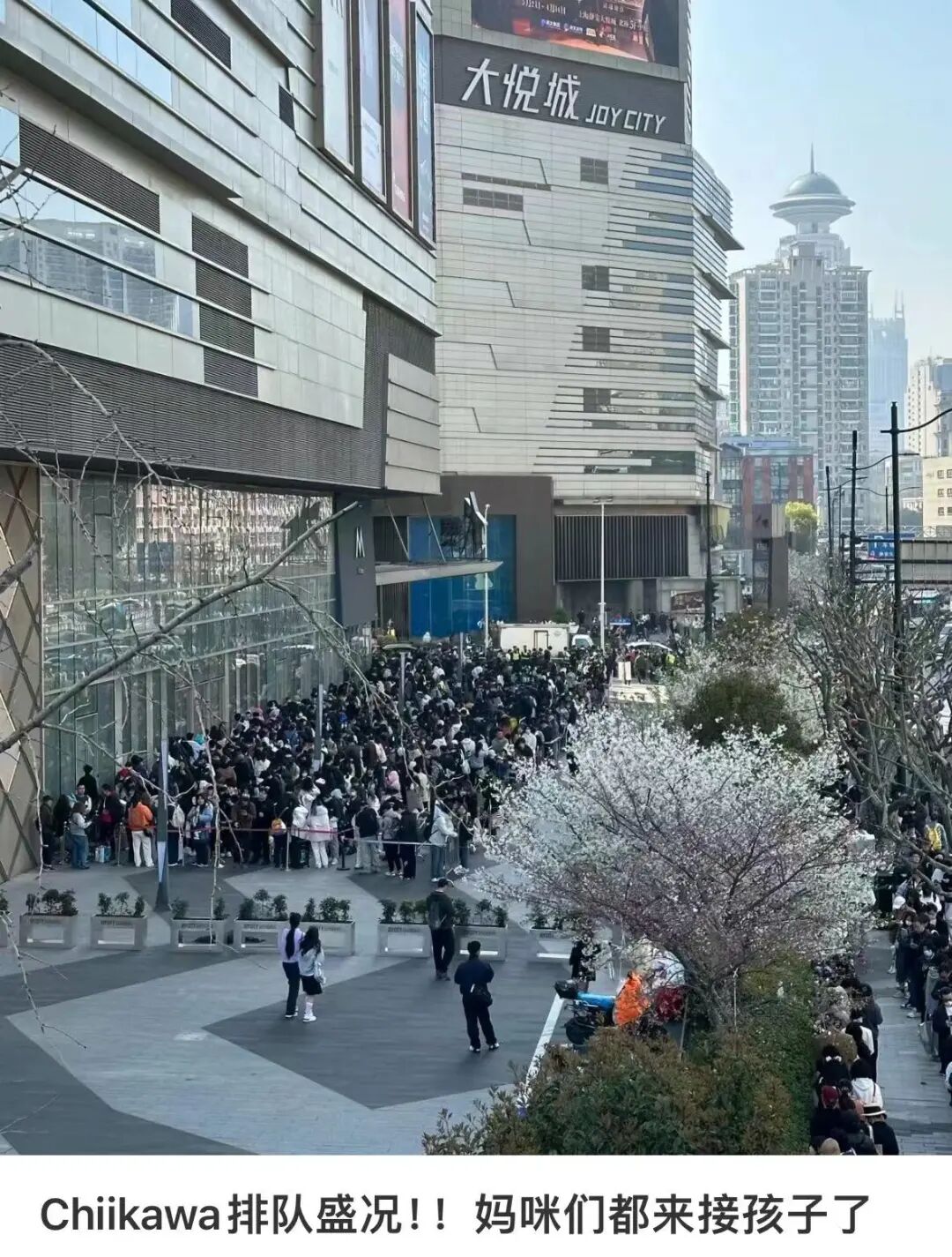 Chiikawa：十元店最火玩具，为何在北上广杀疯了？