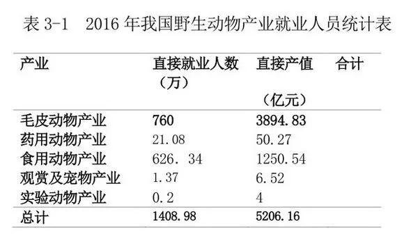 每日农经致富经_致富每日农经app_农广致富经