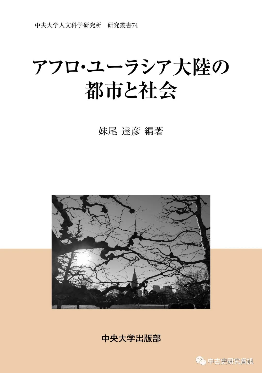 妹尾達彦主編 アフロ ユーラシア大陸の都市と社会 出版 中古史研究資訊 微信公众号文章阅读 Wemp