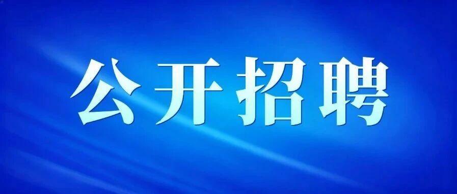 重庆设计集团工程检测科技有限公司2026年招聘公告