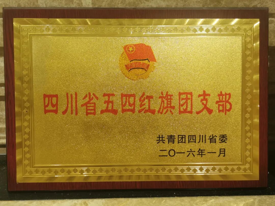 3-220F314164YH.jpg