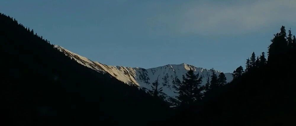 同样是学生，好朋友偷偷考了这个证书，现在副业月入2万