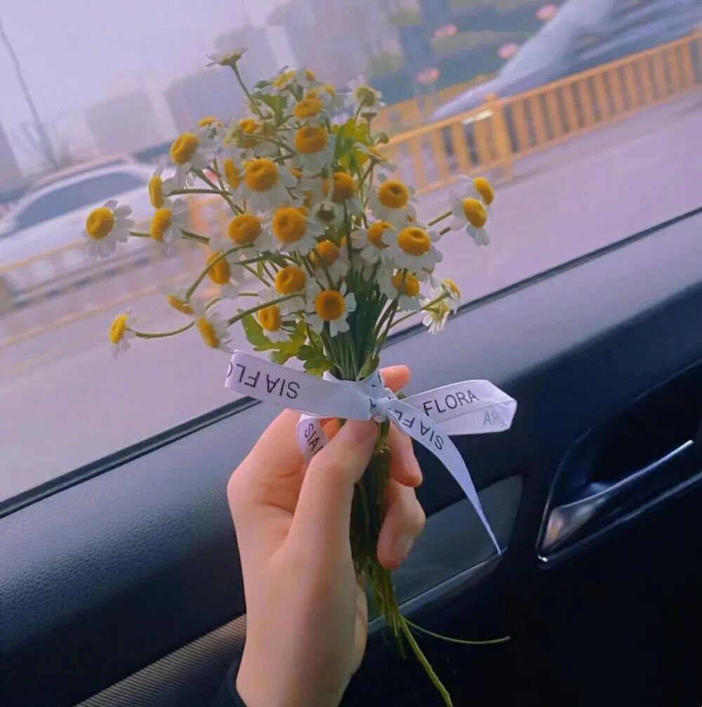 所见即惊艳的温柔治愈文案