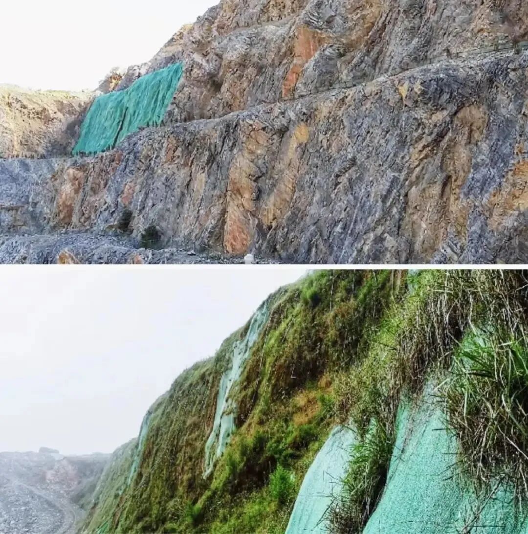 干货分享 | 矿山生态修复创新技术集锦15例！的图7